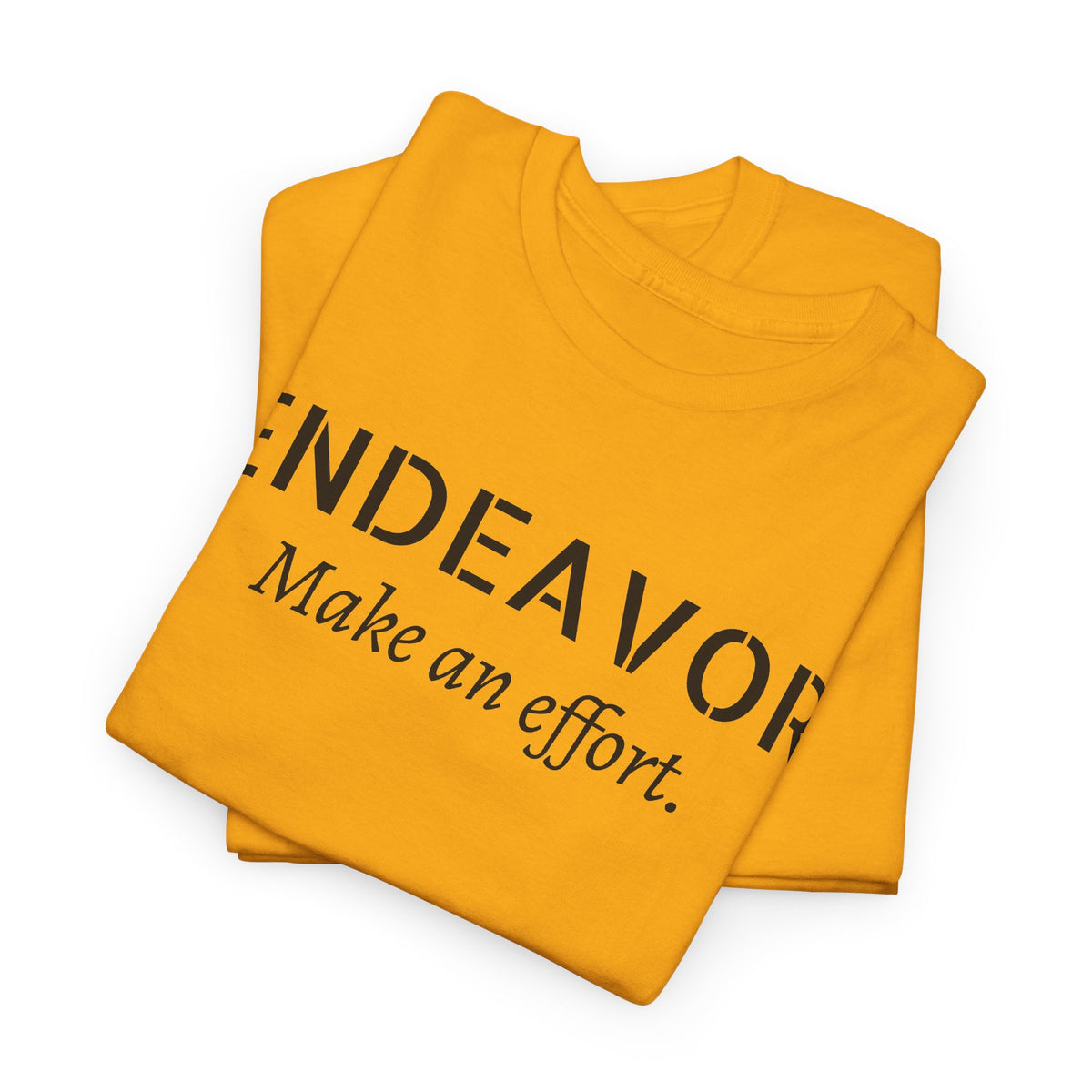 Endeavor "Make an Effort" T-Shirt — Motivational Casual Tee